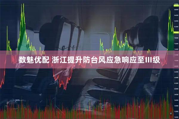 数魅优配 浙江提升防台风应急响应至Ⅲ级