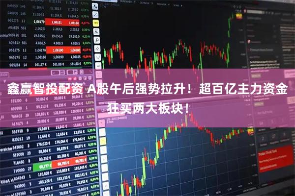 鑫赢智投配资 A股午后强势拉升！超百亿主力资金狂买两大板块！