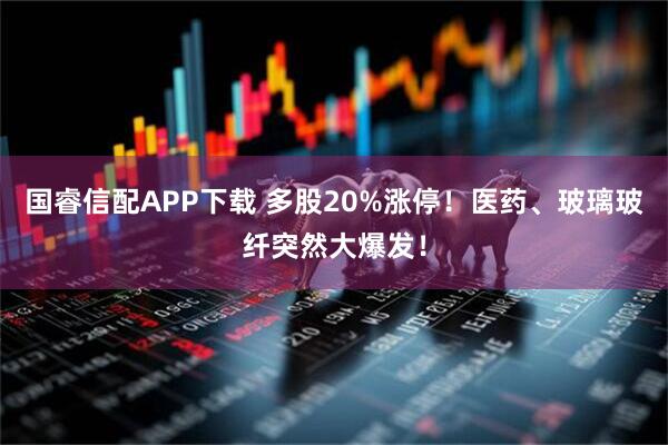 国睿信配APP下载 多股20%涨停！医药、玻璃玻纤突然大爆发！