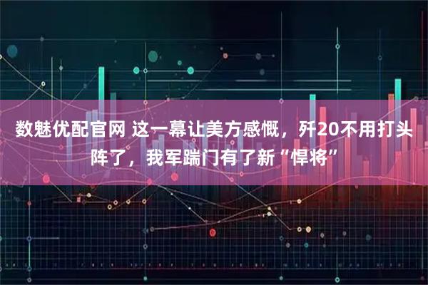 数魅优配官网 这一幕让美方感慨，歼20不用打头阵了，我军踹门有了新“悍将”